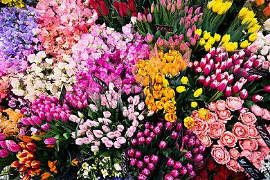 《双人成行》制作人或将在2022TGA公布新作：让玩家大吃一惊